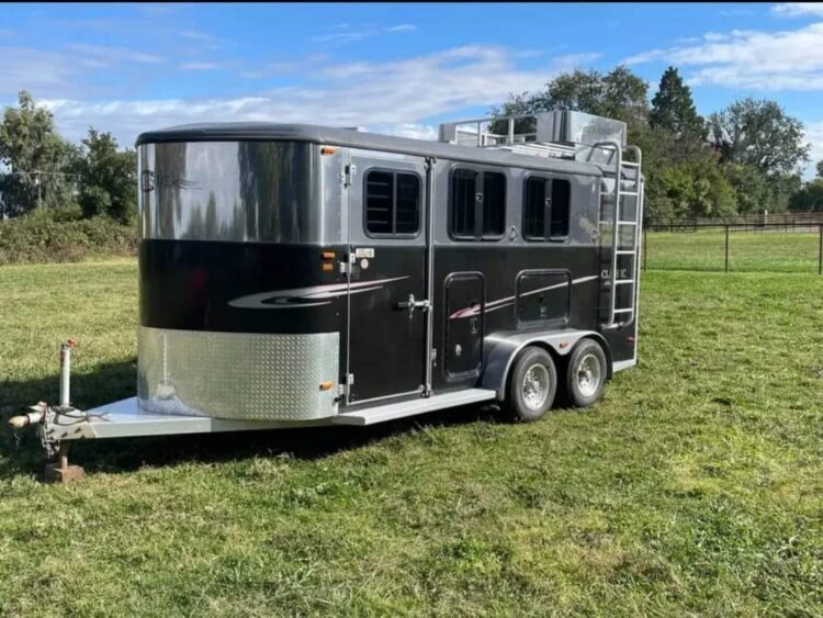 2005 classic aluminum 3 Horse monarch 16 foot - Image 2